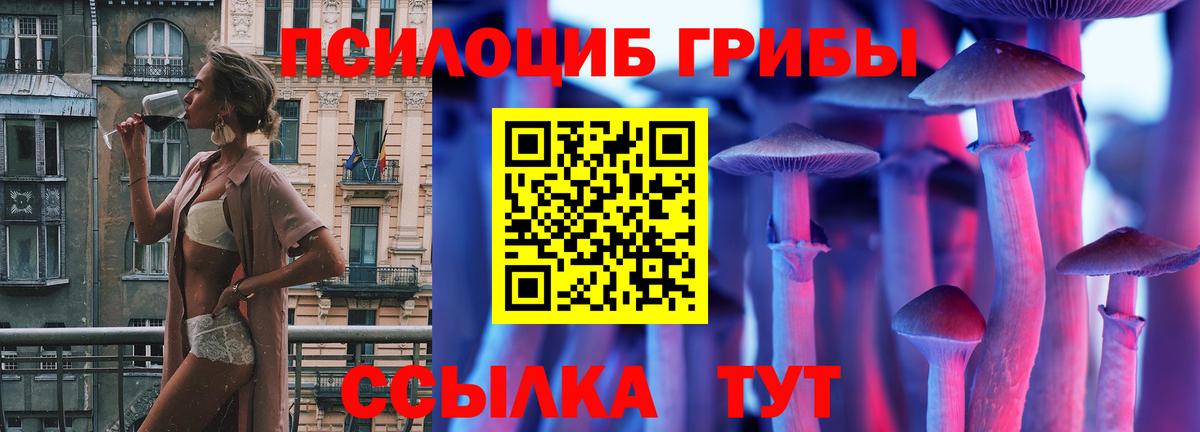 Назарово  Галлюциногенные грибы Psilocybine cubensis  Вход с VPN 