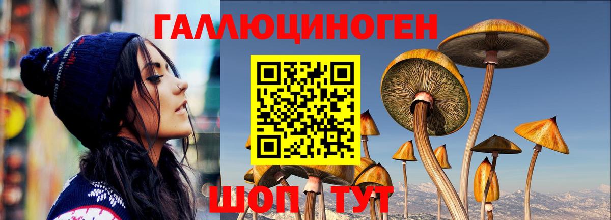 Псилоцибиновые грибы MAGIC MUSHROOMS Назарово